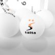 Ping Pong labda, 6 db, 2 csillagos, Salta