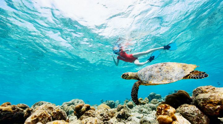 A búvármaszk sznorkelinghez lehetővé teszi a víz alatti látást, valódi szemüveged a mélyben.
